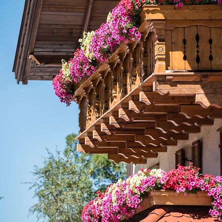 Hotel Peter Petersberg Dış mekan fotoğraf