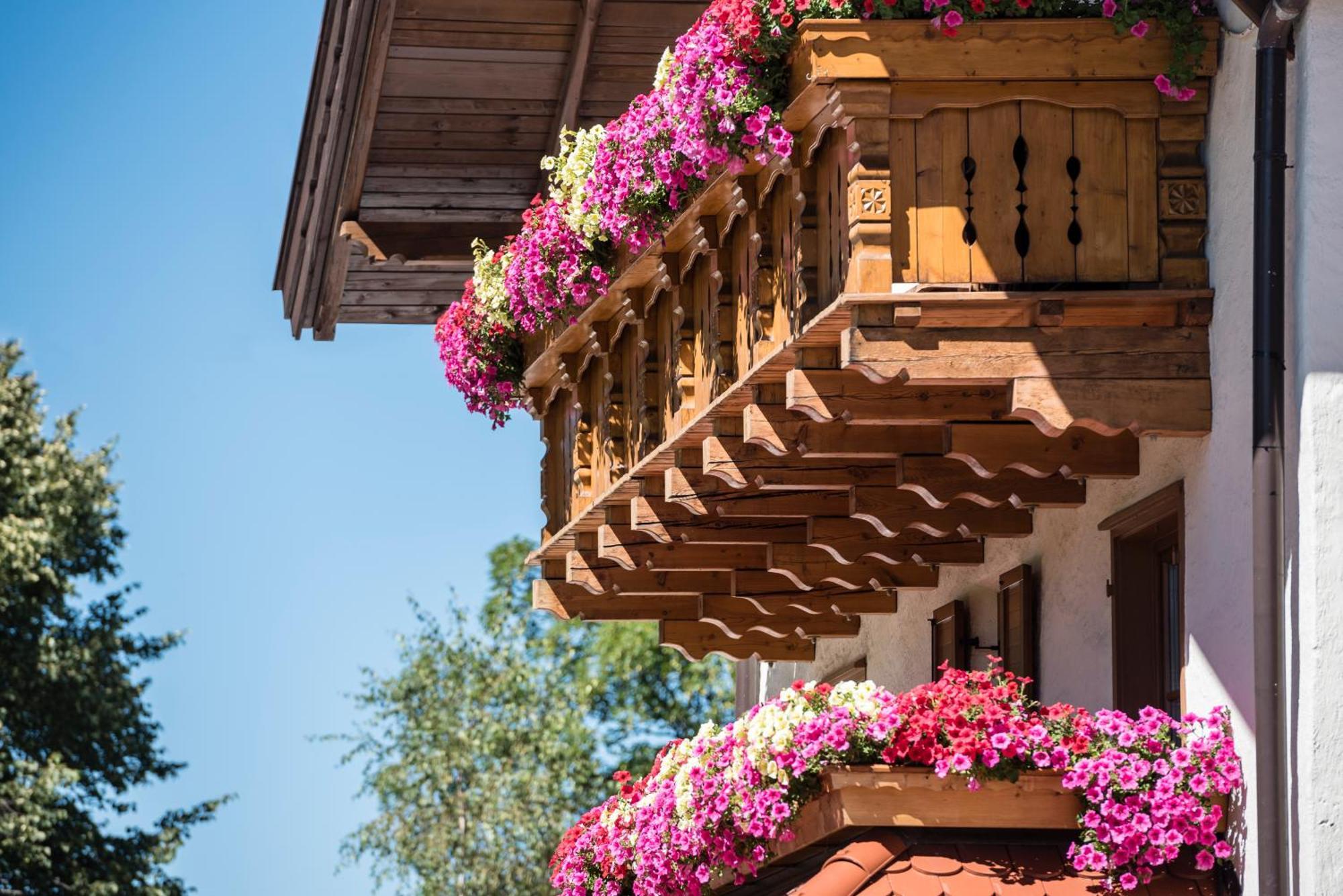 Hotel Peter Petersberg Dış mekan fotoğraf